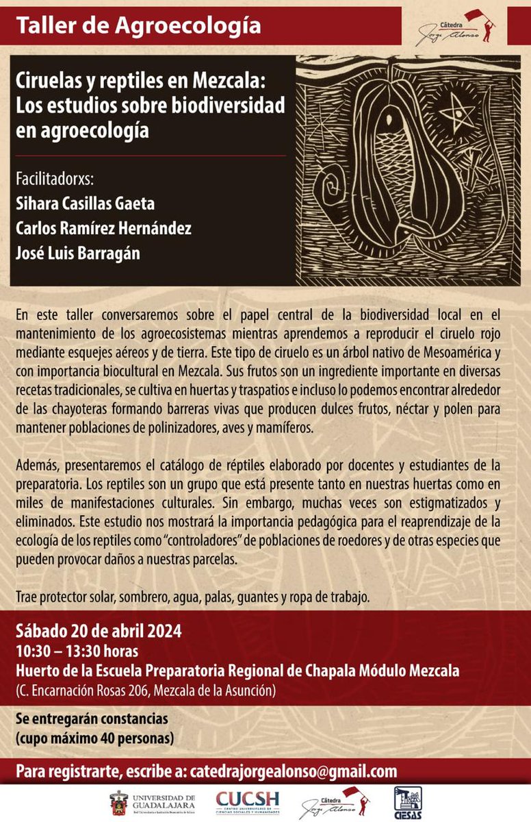 Próximo semana, de la <a href="/catedraalonso/">Cátedra Jorge Alonso</a>:

Saberes para otros mundos posibles

No se lo pierdan.