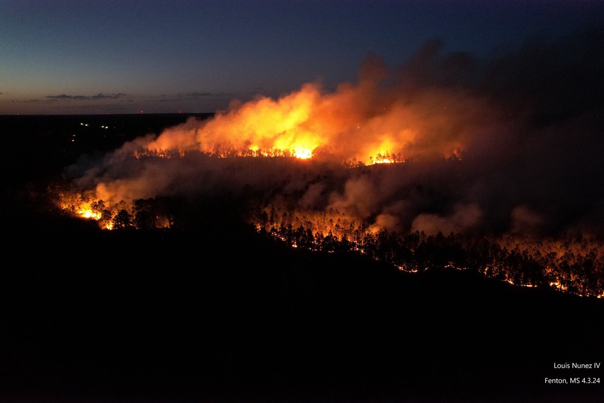 HotshotWake's tweet image. Mississippi: Multiple new starts in Mississippi yesterday in Hancock County.  #msfire 

Winds gusting over 20mph helped spread the new wildfires. Red flag warnings have been issued in the area today and into the weekend. Out of region resource orders started to come in for crews