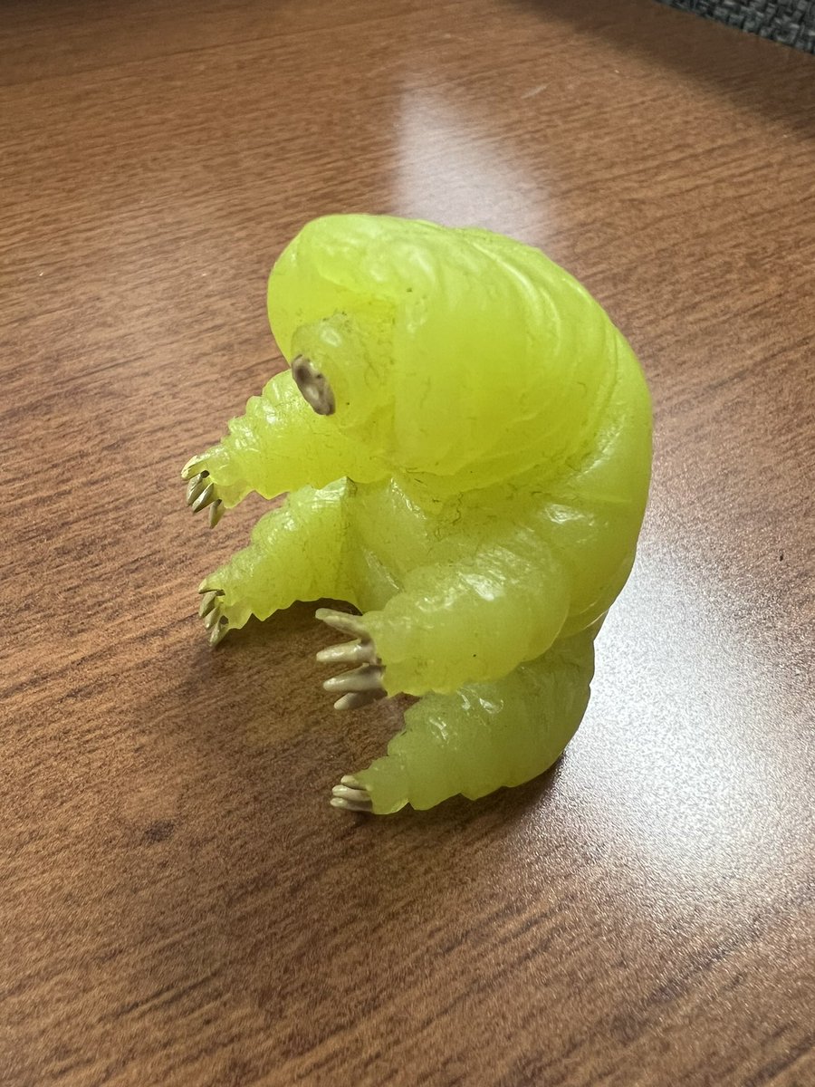 This year our class #2024MMM Phosphorescent Tardigrade winner (our amazing annual March Mammal Madness award) won the tournament by calling the Great White & winning by 2 points! But really, we all won because “if you’re learning, you’re winning!” & my class absolutely did! Epic!