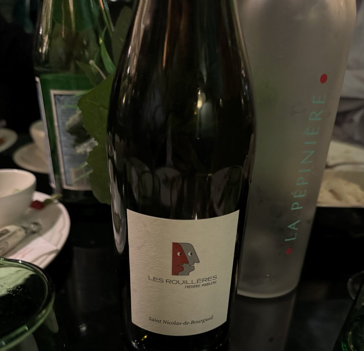 Delizioso Cabernet Franc mi dicono dalla Loira.