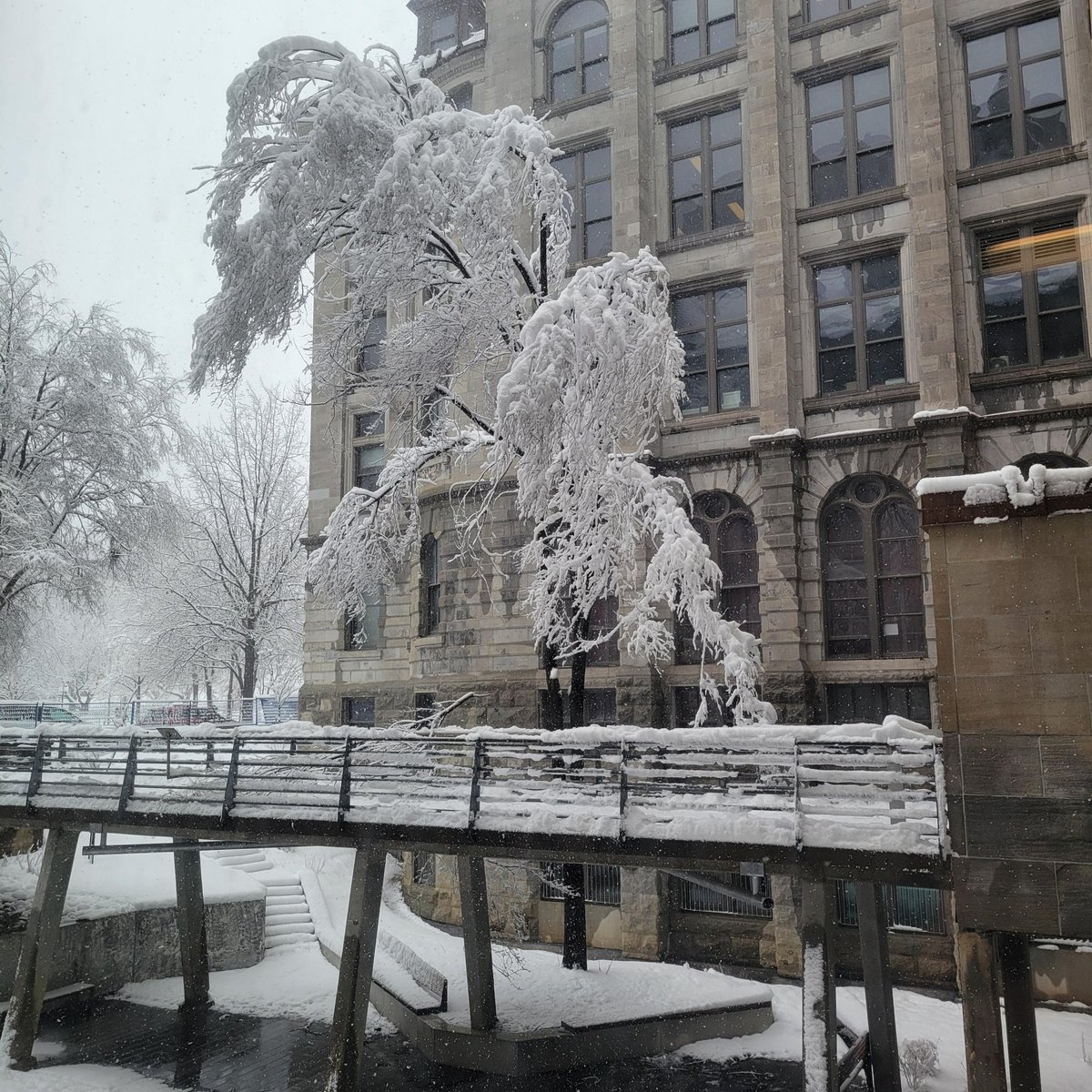 PSA: Going to Schulich Library today? Tree limbs are blocking the lower campus walkway leading to the Frank Dawson Adams Building. Please use the University Street entrance to access FDA. @mcgillu @McGill_Eng @McGillScience @McGillMed