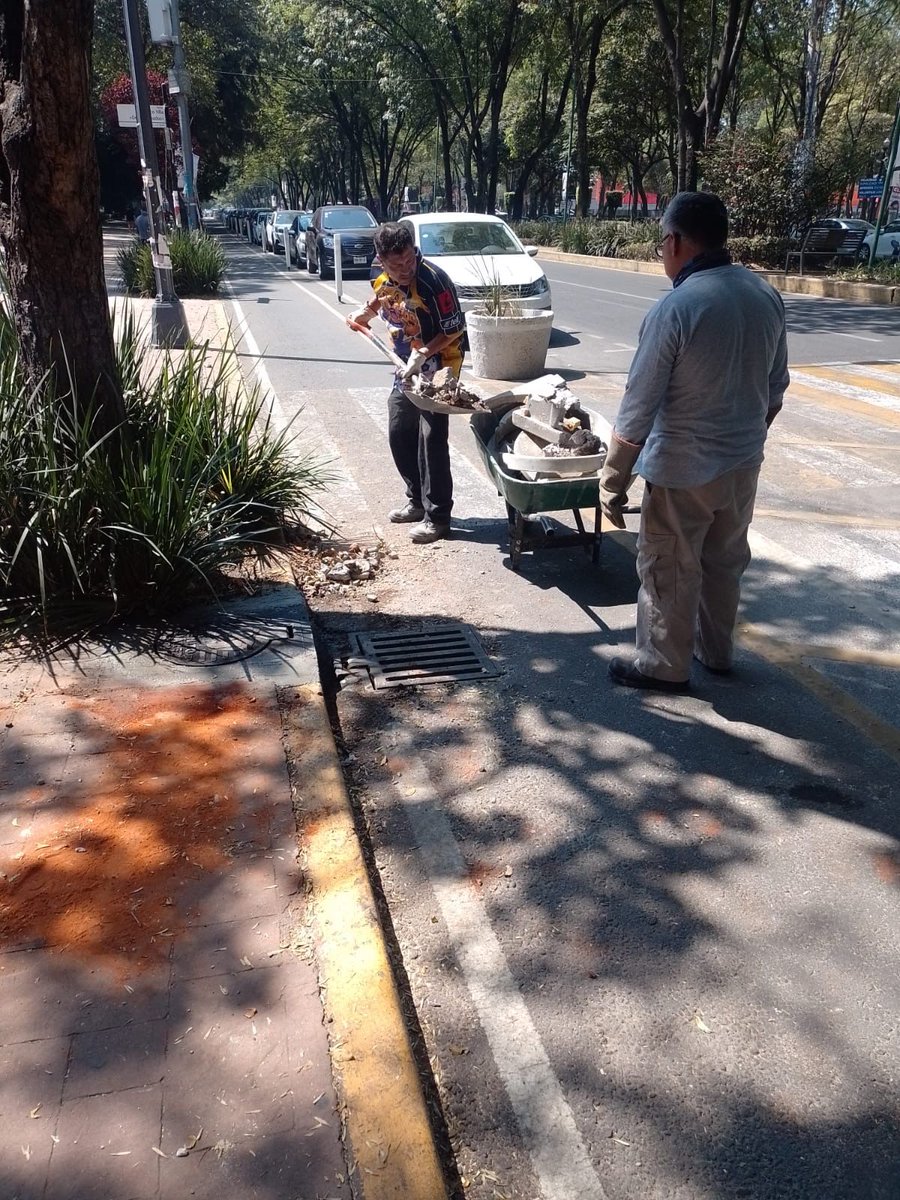 Barrimos, podamos, retiramos gallardetes, desazolvamos y reparamos el alumbrado público en el Parque de los Venados . ✂️💡🌳🧹🧼