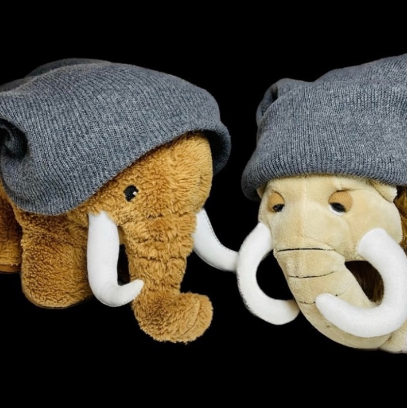 btrain254's tweet image. What a great day to be a mammoth!

#mammothsaregreatagain #MAGA #btrain