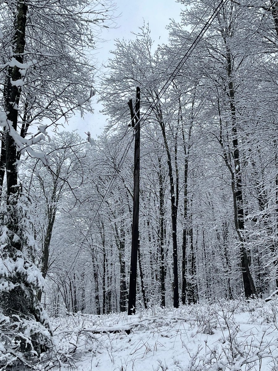 Heavy, wet snow fell in Sullivan County overnight, substantially weighing down trees & power lines. This caused the damage that you see pictured here. Our crews are working through these wintry conditions to restore power to our customers as soon as safely possible.