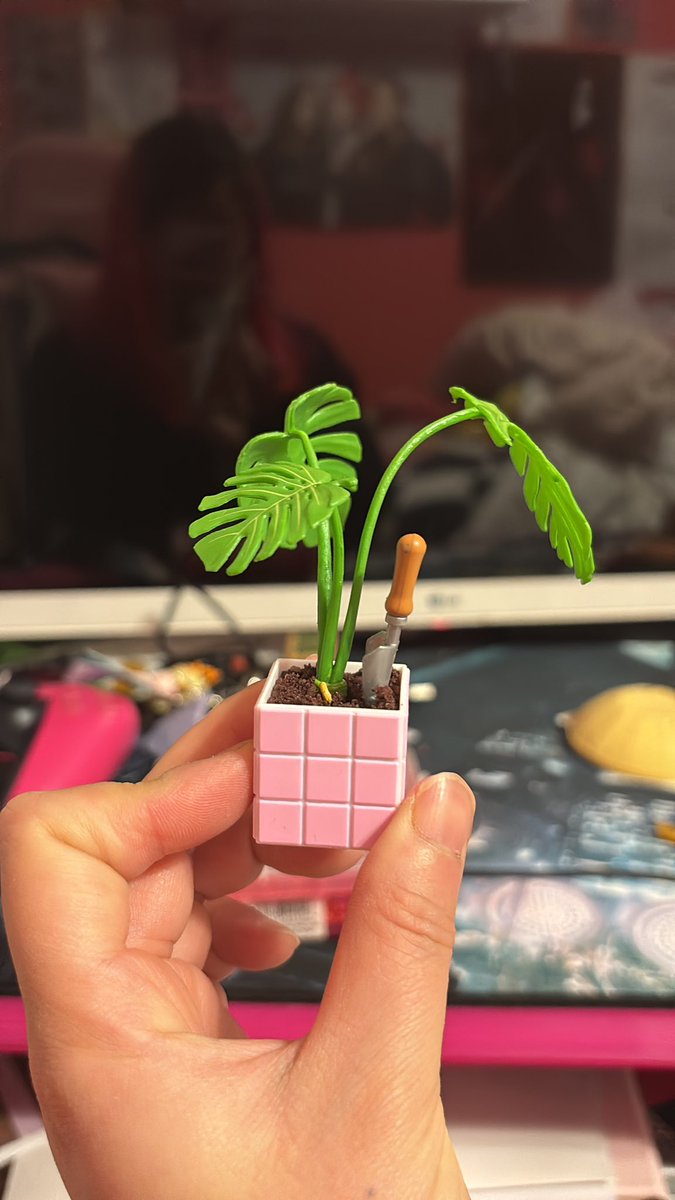 Tiny plant 🥰