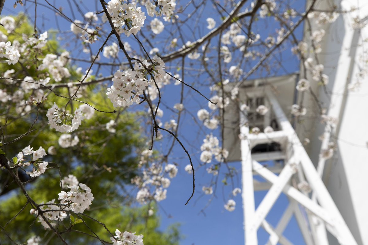IRIS is proud to recognize our faculty and student affiliates who have been honored during UGA Honors Week: Jeb Byers, @UGAEcology Katie Foster and Cydney Seigerman, @UGAAnthropology Kate Winters, @UGAEngineering Learn more here: iris.uga.edu/2024/04/04/uga…