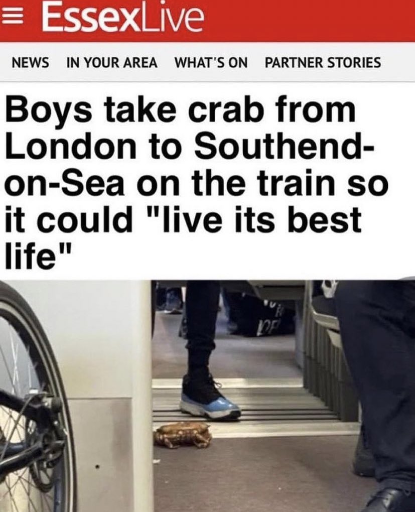 robotrusia's tweet image. #DonPoderoso