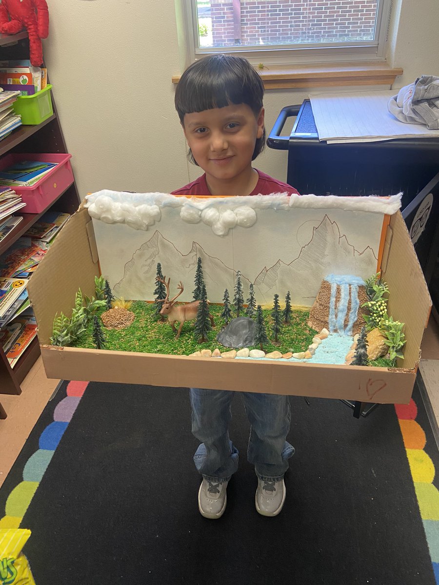 We are learning about biomes and animals that live there! Here is a caribou living in the tundra.