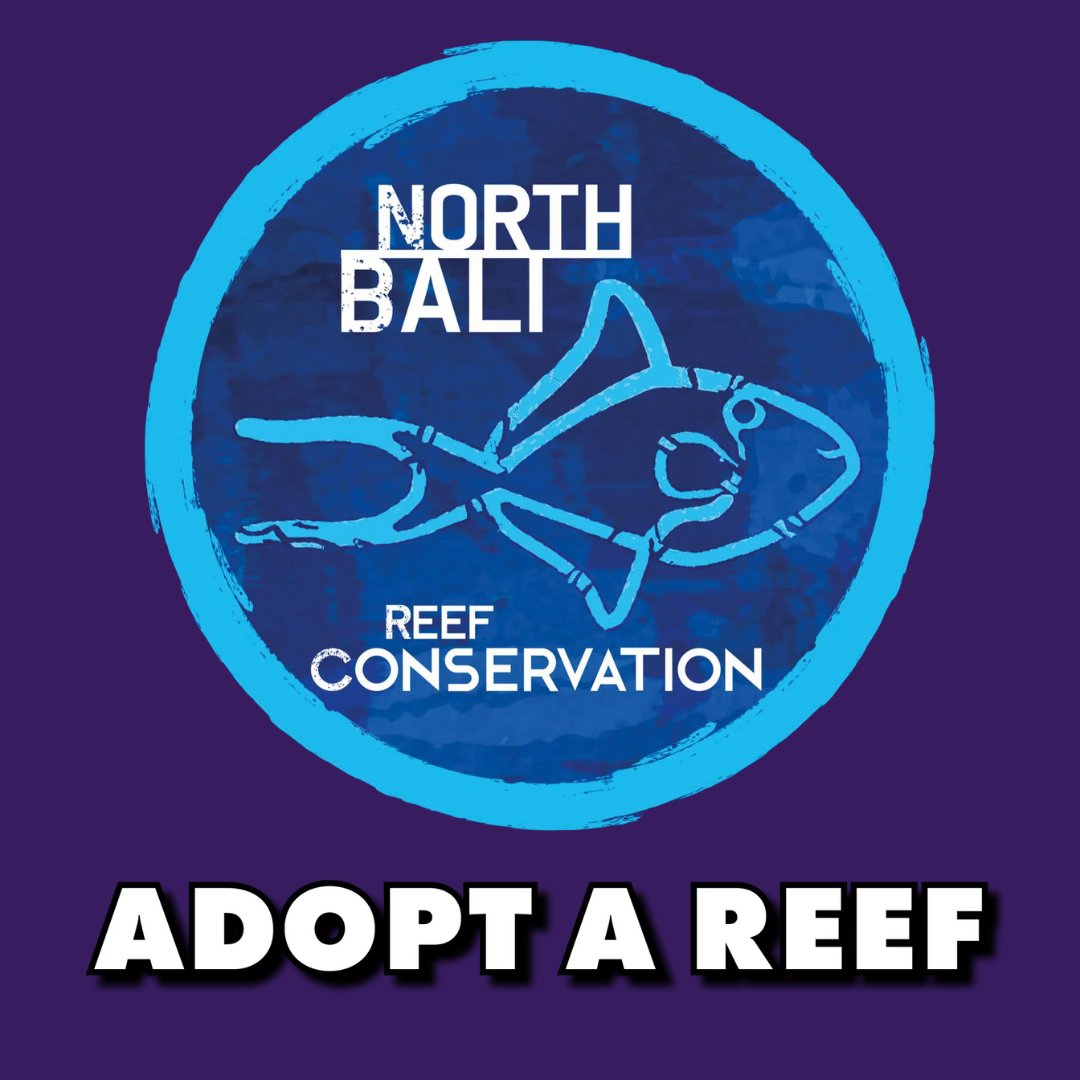 Adopt a Coral Reef with us today! Here at The Coral Centre, we are delighted to have partnered with North Bali Reef Conservation and bring you the opportunity to Adopt A Reef. For more information, please visit bit.ly/3Vt3Sx4. #EarthMonth