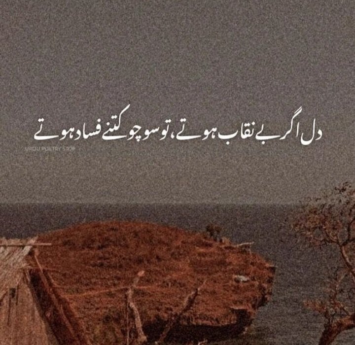 Aslamoalikum Ev1🖤
Good nit 💕
