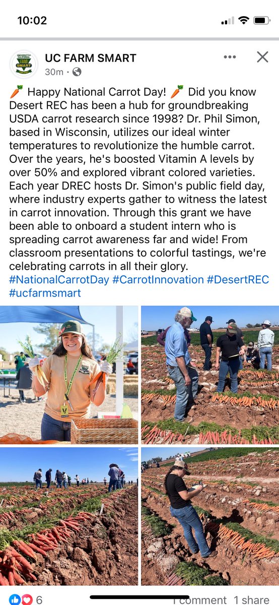 Happy National Carrot Day! Did you know we have been a hub for groundbreaking <a href="/USDA/">Dept. of Agriculture</a> #carrot research since 1998? Dr. Simon, based in Wisconsin, utilizes our ideal winter temperatures to revolutionize the humble carrot. He's boosted Vitamin A levels by over 50% . <a href="/UCFarmSmart/">UC Farm Smart</a>