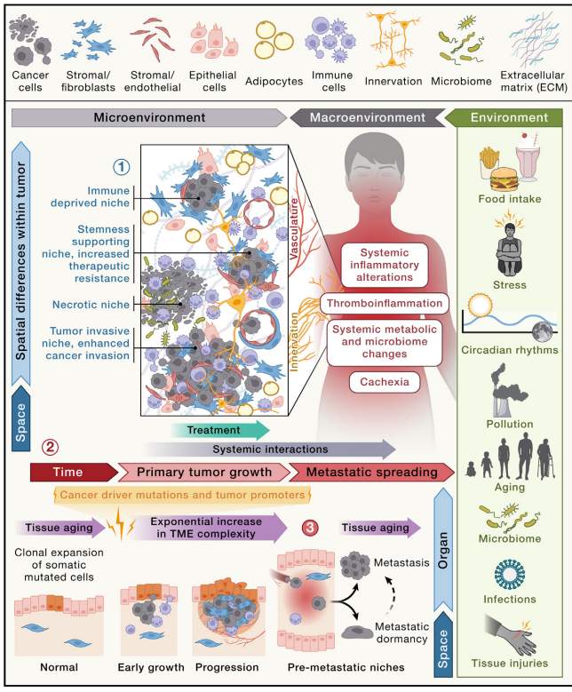 The hallmarks of cancer framework provide an exceptional synthesis of carcinogenesis, but does not address complexities of cancer as a systemic disease, including tumor initiation & promotion, tumor micro- & immune macro-environments, aging, metabolism & obesity, cancer cachexia,…