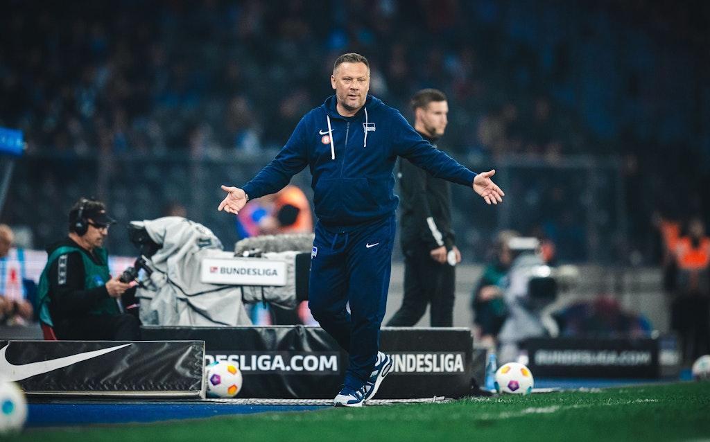 BERLINER_KURIER's tweet photo. Investor gegen Hertha-Fans: Es geht um Pal Dardai https://t.co/ufadBBYdtf https://t.co/iqZdme9WDo