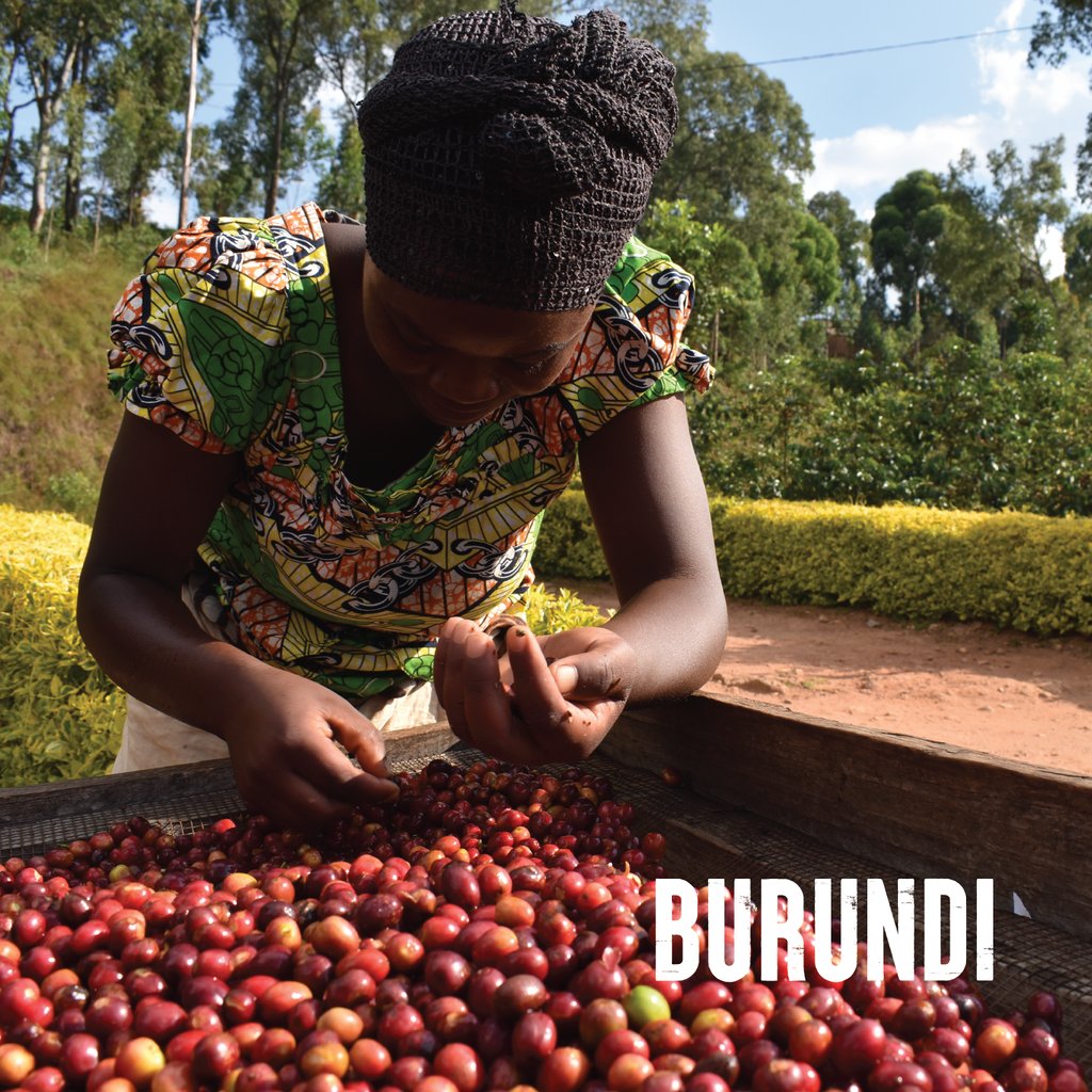 LittleCityATX's tweet photo. 🚨✨ New Origin Alert: Burundi is Here ✨🇧🇮

We just got word today that our first shipment of coffee from the east African country of Burundi has been released at the port 🌍🚢☕ We're expecting delivery Monday 4/8 so stay tuned for updates! https://t.co/HyRh4f9A8j