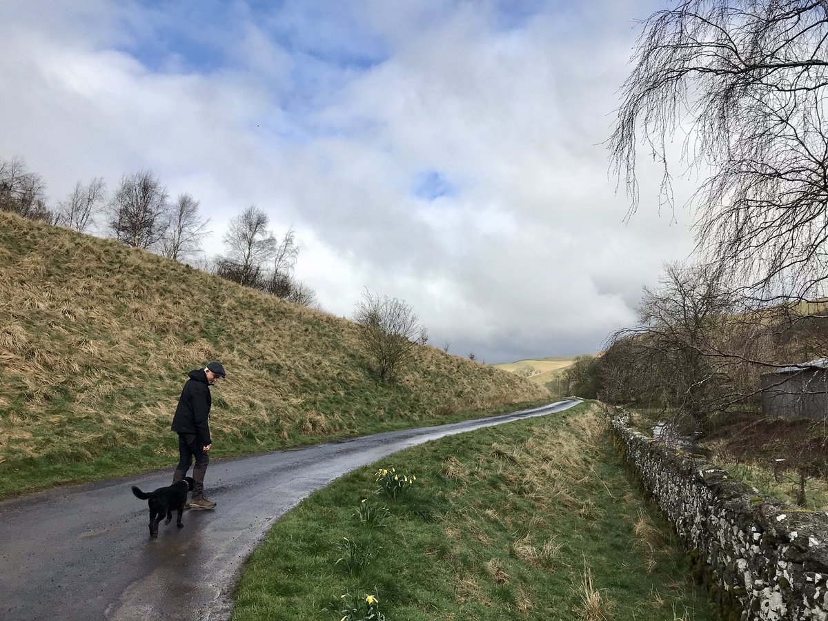 After torrential rain all day y’day we thought it best to stick to tarmac today & walked from Hownam to a remote farm called The Yett - bit of drizzle, a few patches of blue sky but chilly at 5 degrees! Spring is still noticeably absent #ScottishBorders