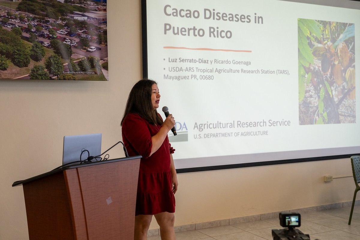 7mo conversatorio OneUSDA celebrado el 21 de marzo en la Universidad Interamericana de Arecibo.

La agenda del evento abordó una amplia gama de temas, desde la historia y genética del cacao hasta el cambio climático y plagas y enfermedades.