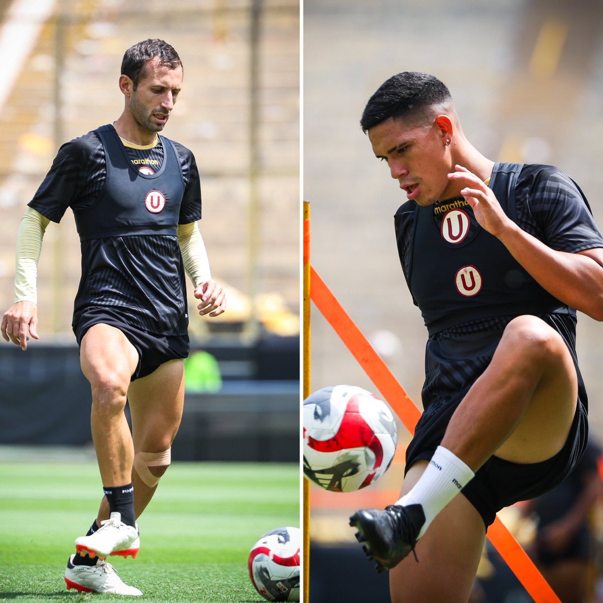 Gustavo Peralta Coello tweet media