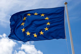 I am right in thinking everyone wants to Rejoin the EU aren't I? Like if you do RT if you really do I followback