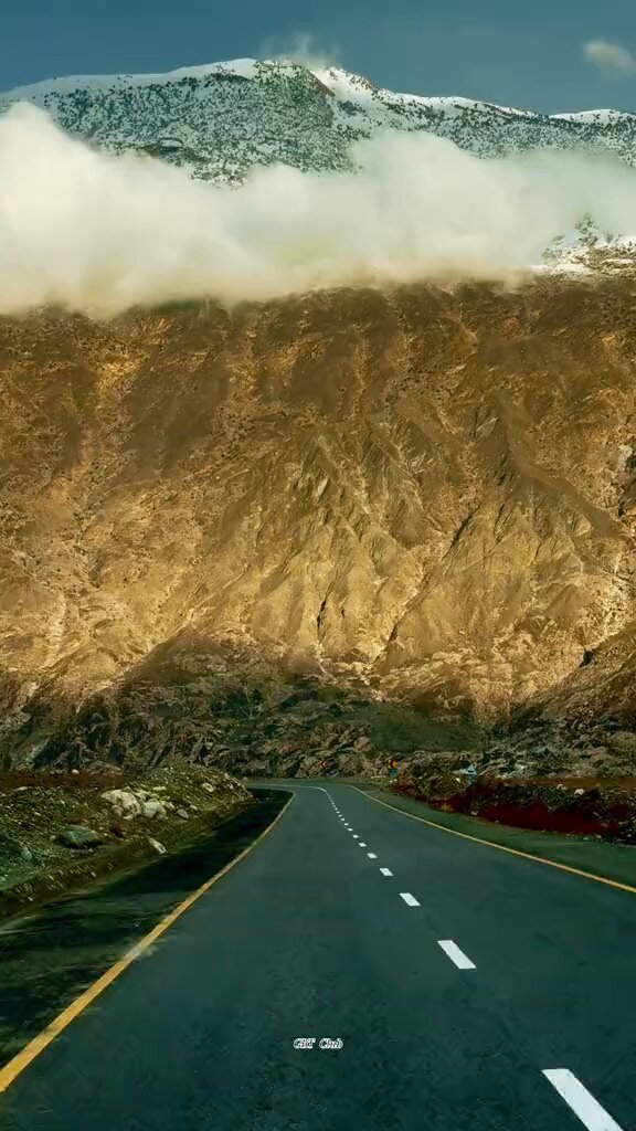 Dr. Mishi tweet media