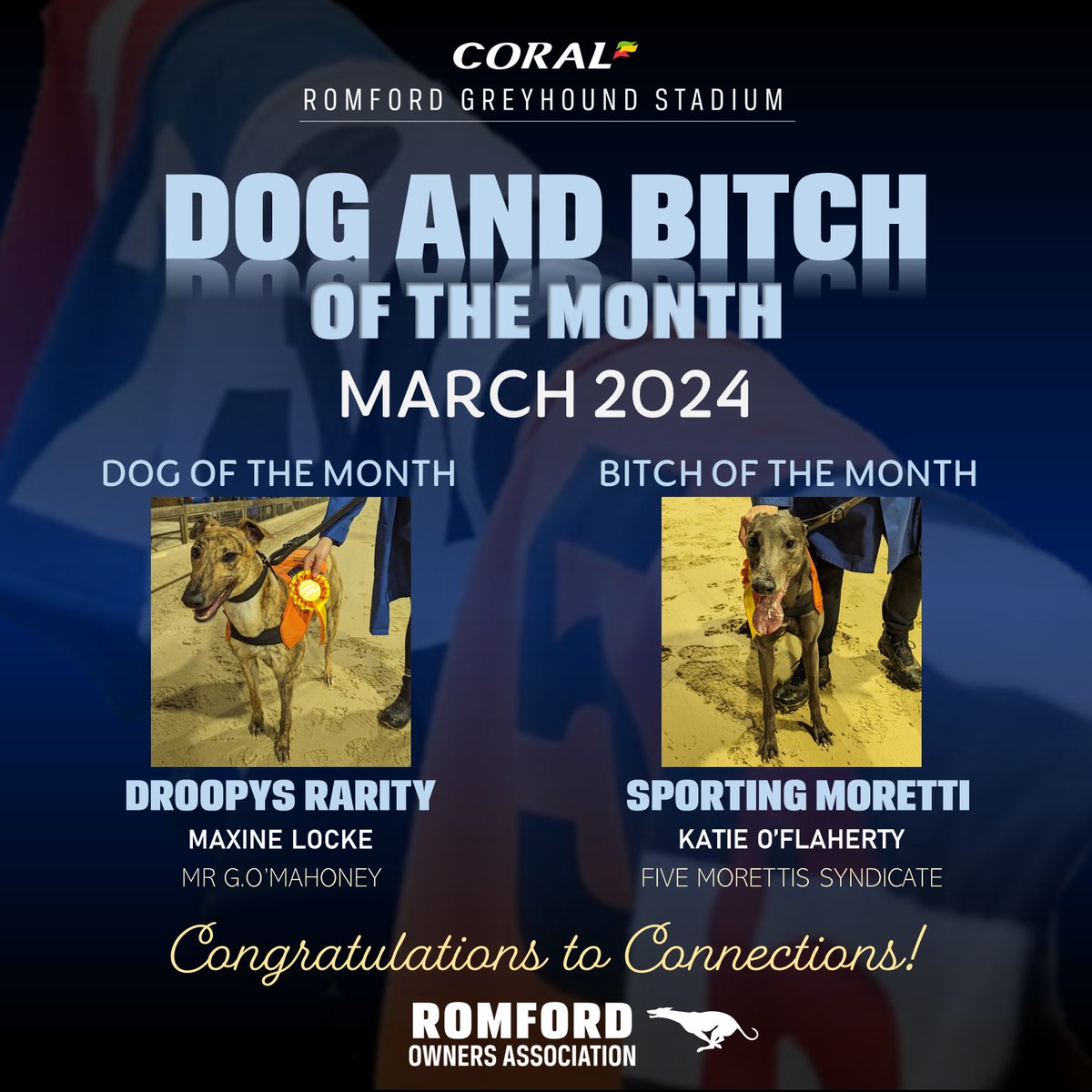RomfordDogs's tweet image. Congratulations to Romford's Dog &amp;amp; Bitch of the Month of March 2024!🌟🐾🏆

🧡Droopys Rarity is a new kid on the block here at Romford being from our sales trials back in January! This youngster (Jul '22) has had a flying start to his career having run 7 races and winning 4 of…