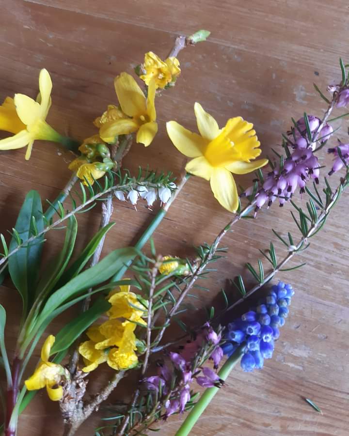 I forgot to share the other day, but my Gathering the mushrooms show on  <a href="/HarrogateRadio/">Harrogate Community Radio</a> this week is a gentle feast of springtime folky loveliness - despite the lack of sunshine, spring is here! Listen again at leisure ..m