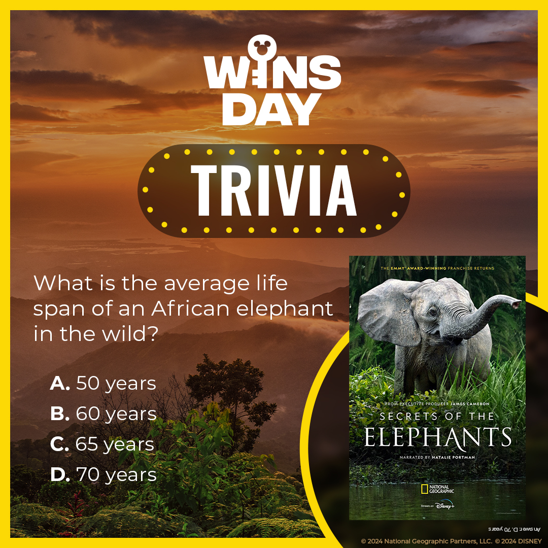 Grow your #EarthMonth knowledge with this Wins Day Trivia! 🐘🌍