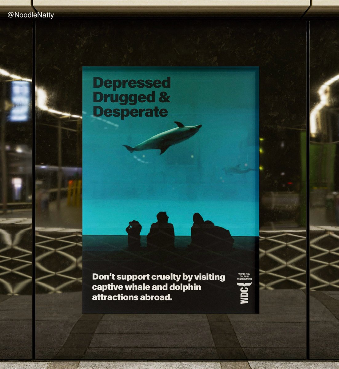 NoodleNatty's tweet photo. Create posters for UK airport departure lounges that convince UK holidaymakers not to visit captive whale and dolphin attractions while they are abroad. #DontGoToTheShow.
@whalesorg #EndCaptivityForever
@OneMinuteBriefs https://t.co/KGUBZS6o27