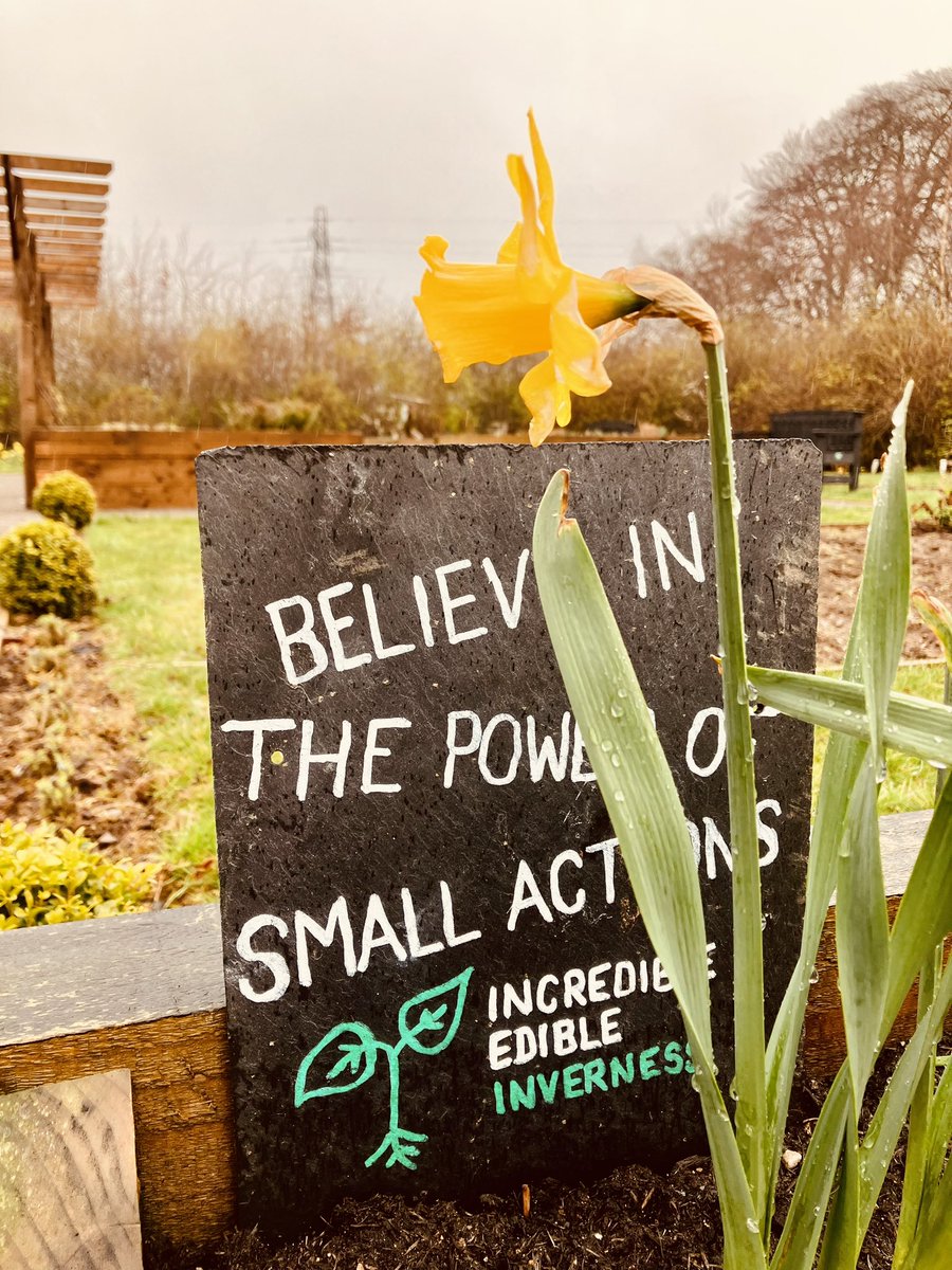 HighlandCJP's tweet photo. The Culduthel CPO crew created this beautiful &amp; accessible raised growing area. A partnership between @HighlandCouncil &amp; Incredible Edible &amp; @HolmCommunityCouncil. Great to see such results. If you have a project then get in touch with us or email: criminaljustice@highland.gov.uk https://t.co/NTjEMXFXDF