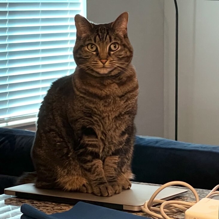 Jeff Gamet tweet media