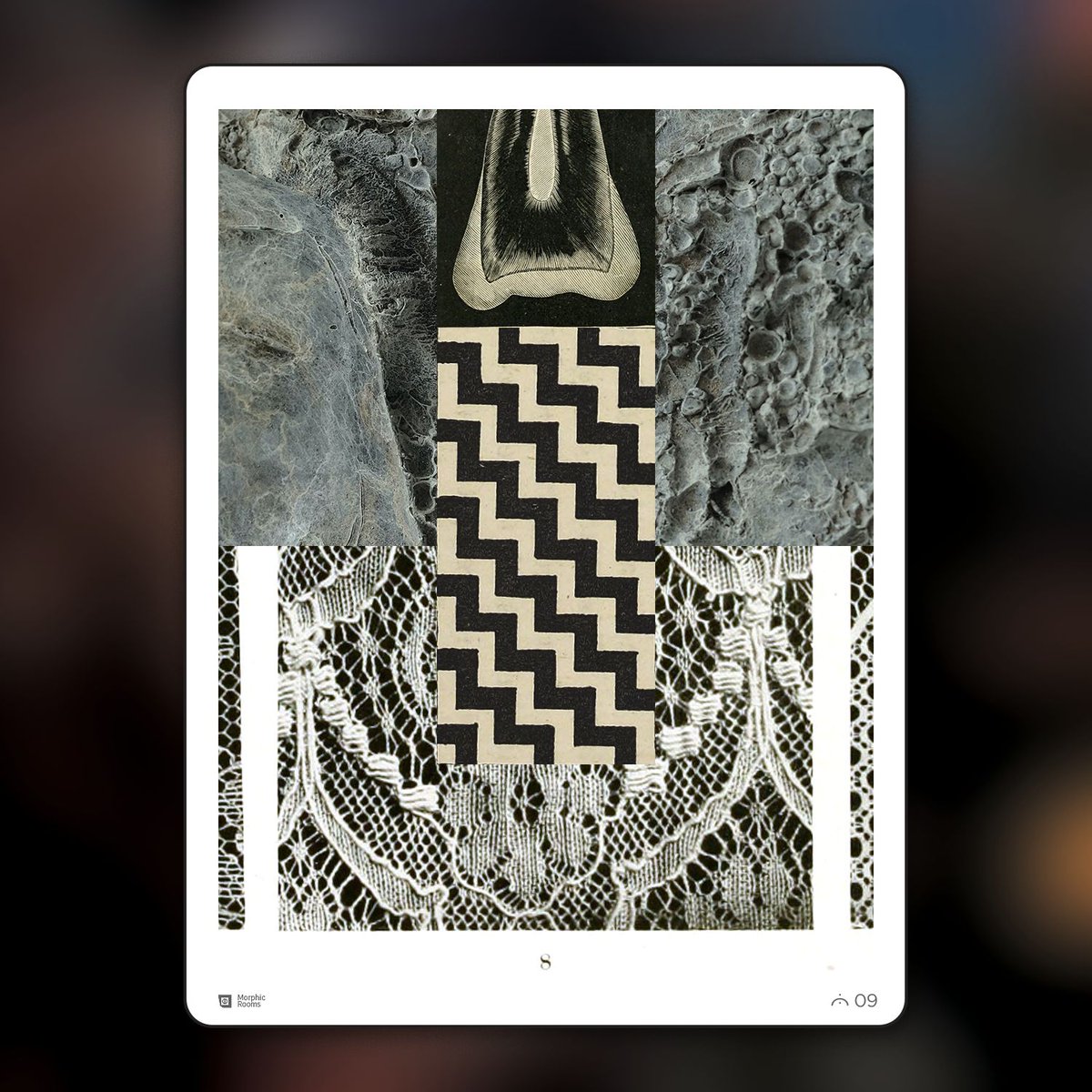 morphic additions - series two now available tweet media