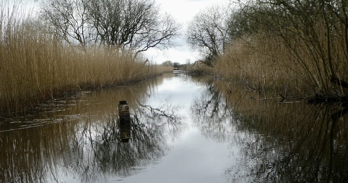 Walney_Island tweet picture