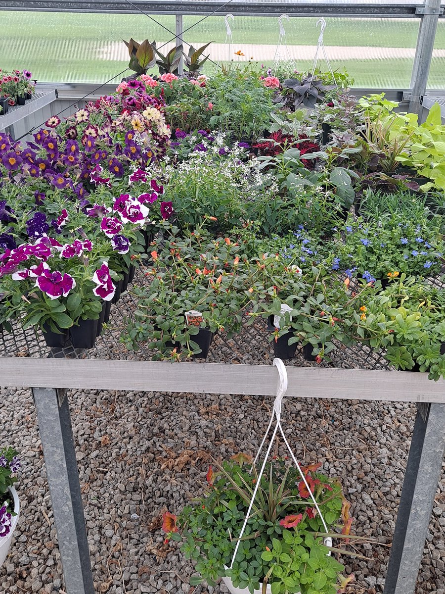 BULLETFFA's tweet photo. Getting ready for the Spring Plant and Outdoor Sale!! https://t.co/HA7swHGuxL
