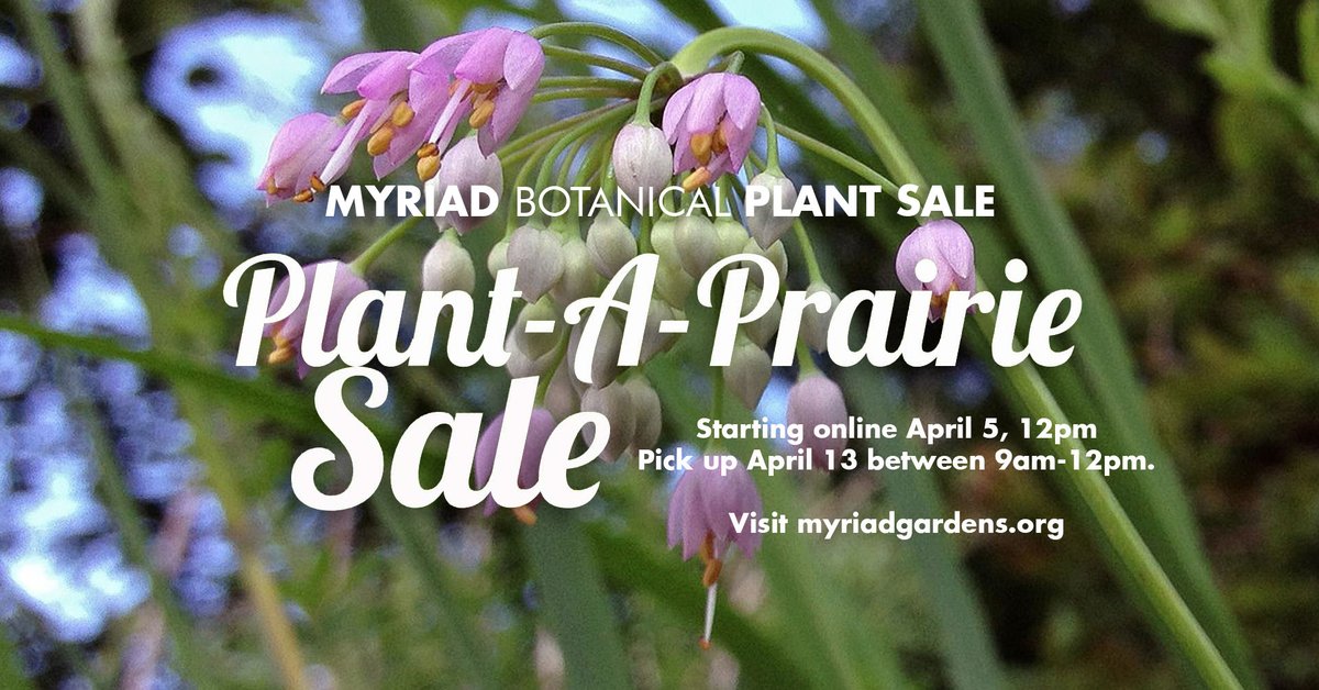 ⏰👍🌿Are you ready, set - almost go for tomorrow (Friday, April 5, starting at noon), the Plant-a-Prairie online sale kickoff? We are! The online sale is set to open at noon myriadgardens.org/prairiesale/ These are great combination lists of the perfect set of prairie plants compiled…