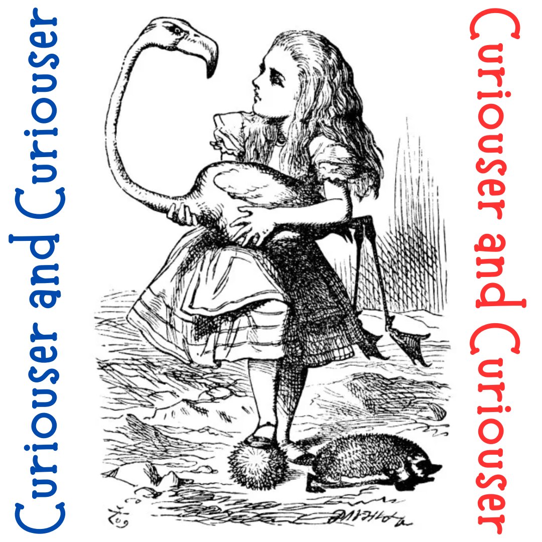 Connecticut Ballet tweet media