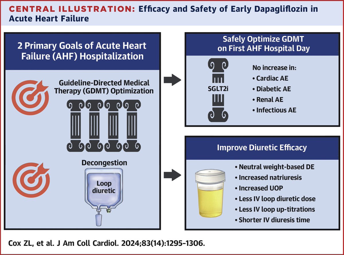 In #DICTATE trial, dapagliflozin was safe to start first day of AHF hospitalization before stabilization to optimize #GDMT & improve some measures of diuresis. #SGLT2i should be started immediately or continued in most pts hospitalized for AHF bit.ly/3VK4fmK #JACC @Zac0x