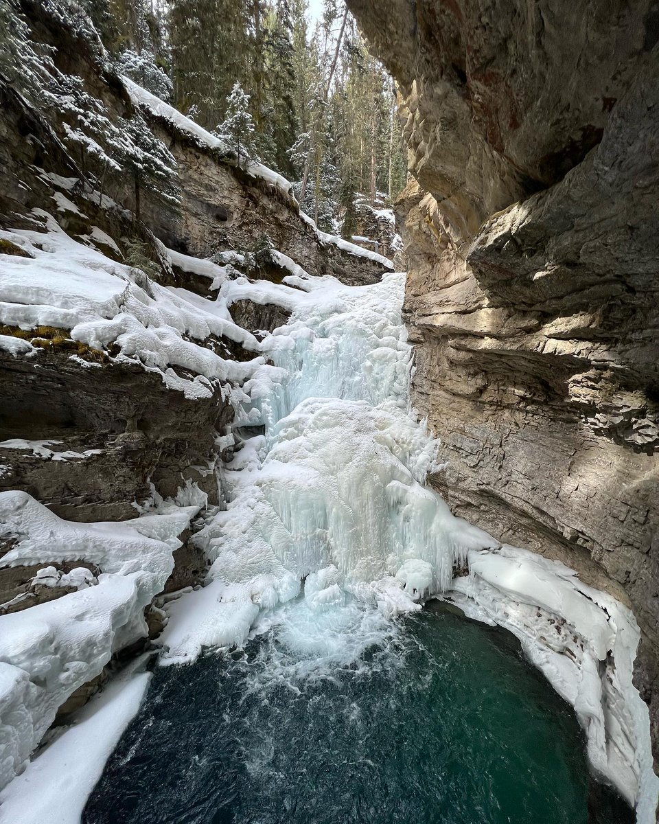 banfflakelouise tweet picture