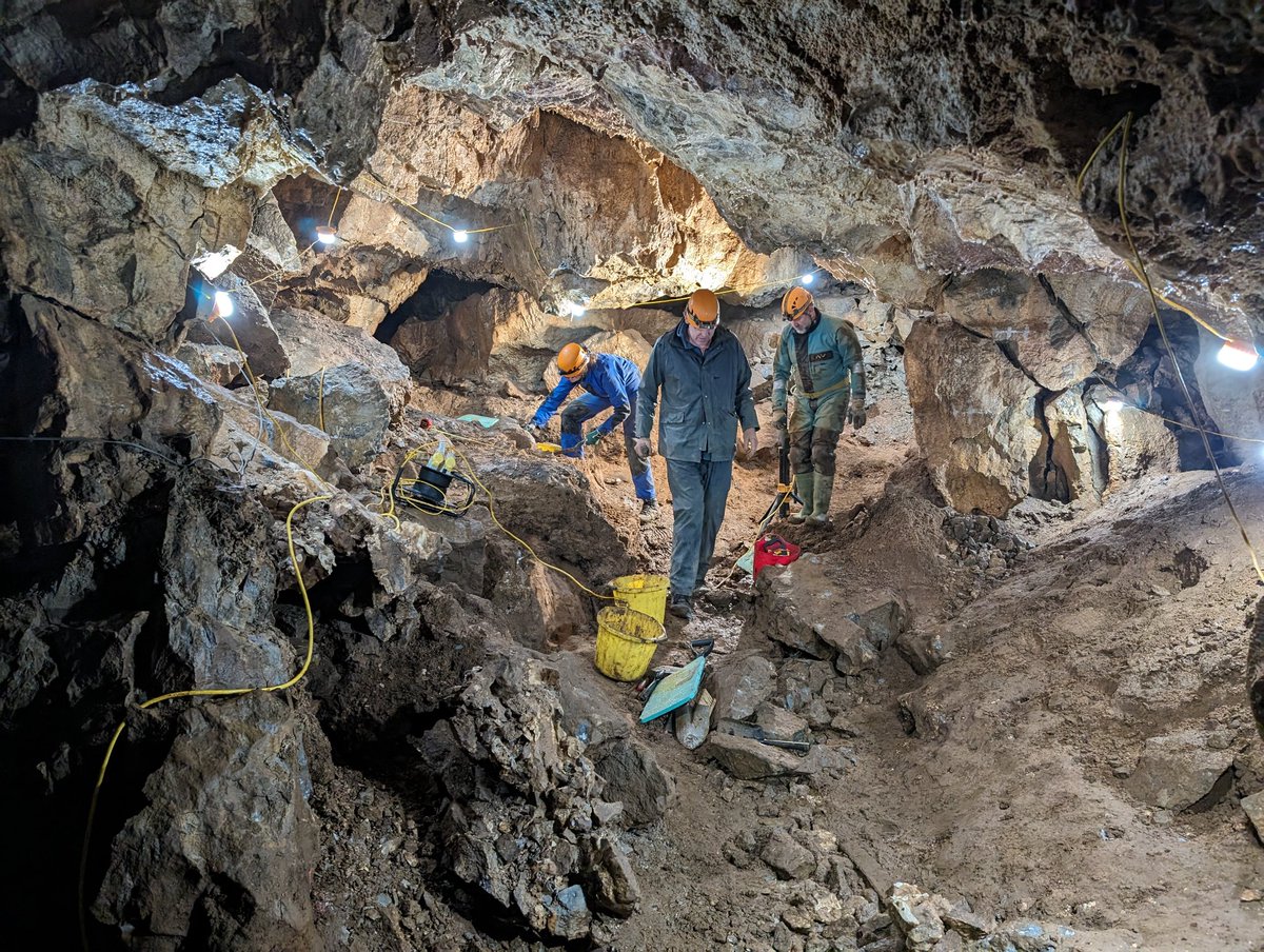 Great introduction to cave archaeology with some friends old and new at Castlepook Cave for the Irish Cave Bones project. Huge thanks to @NSERC_CRSNG Alliance International for funding @UNB collaboration in this fascinating research.