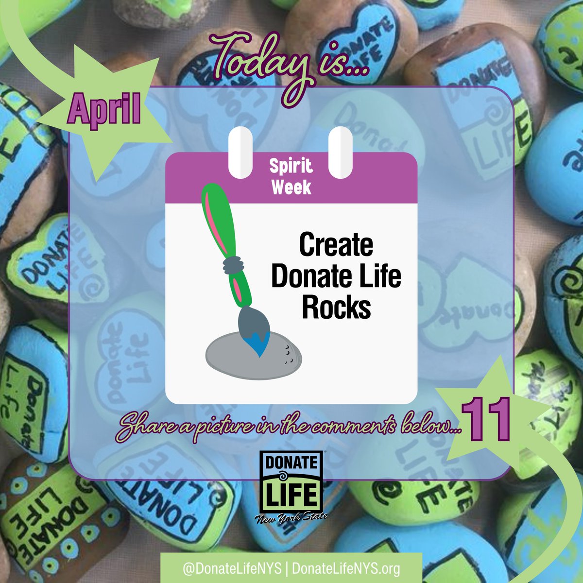 DonateLifeNYS's tweet photo. Obsessed with rocks? That’s your pre-rock-ative. In celebration of Create a #DonateLife Rock Day, we invite you to paint a Donate Life rock. Tweet us your artistic creations or recent discoveries in your community. #DonateLifeMonth #DonorsAreSuperStars #DonateLifeNYS #DoneVida https://t.co/NHKM2e2ER9