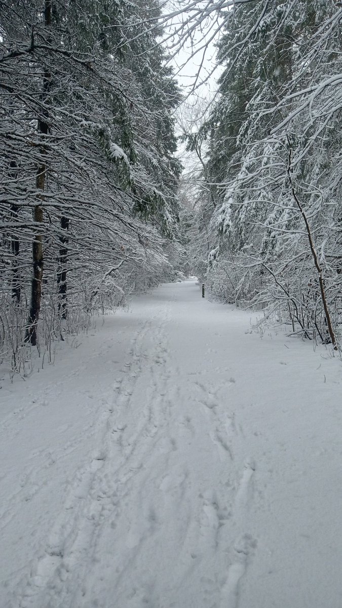 Christopherdrh's tweet photo. But what about second winter? #Ottawa https://t.co/mtoRdFnhiK
