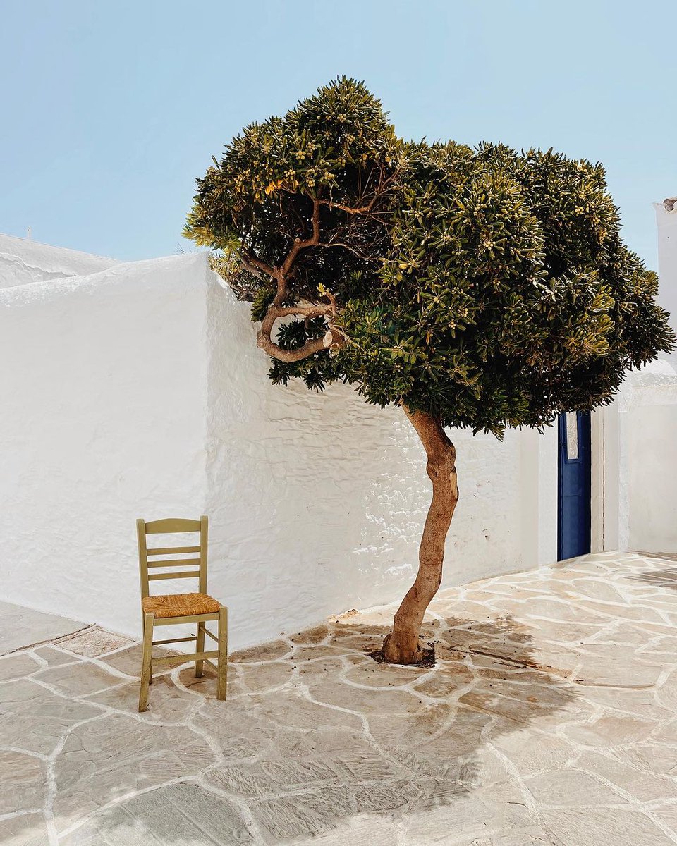 #Kythnos. Beneath the Grecian sun, a chair awaits, not for a person, but for the breeze, the whisper of leaves, and the stories of passersby.
📷 petros_kamin