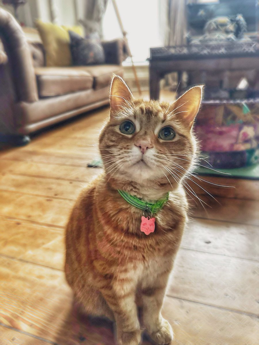 Emma Dolan tweet media