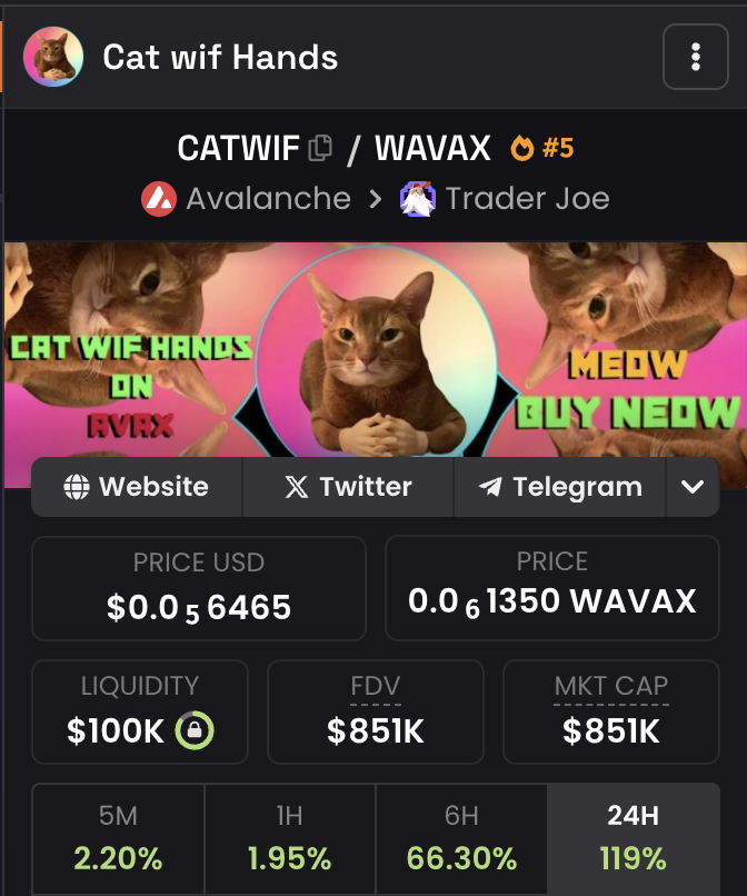 +120%

Stop chasing shiny gems, stick with promising &amp; undervalued memecoins. $CATWIF will reach 10M mcap
