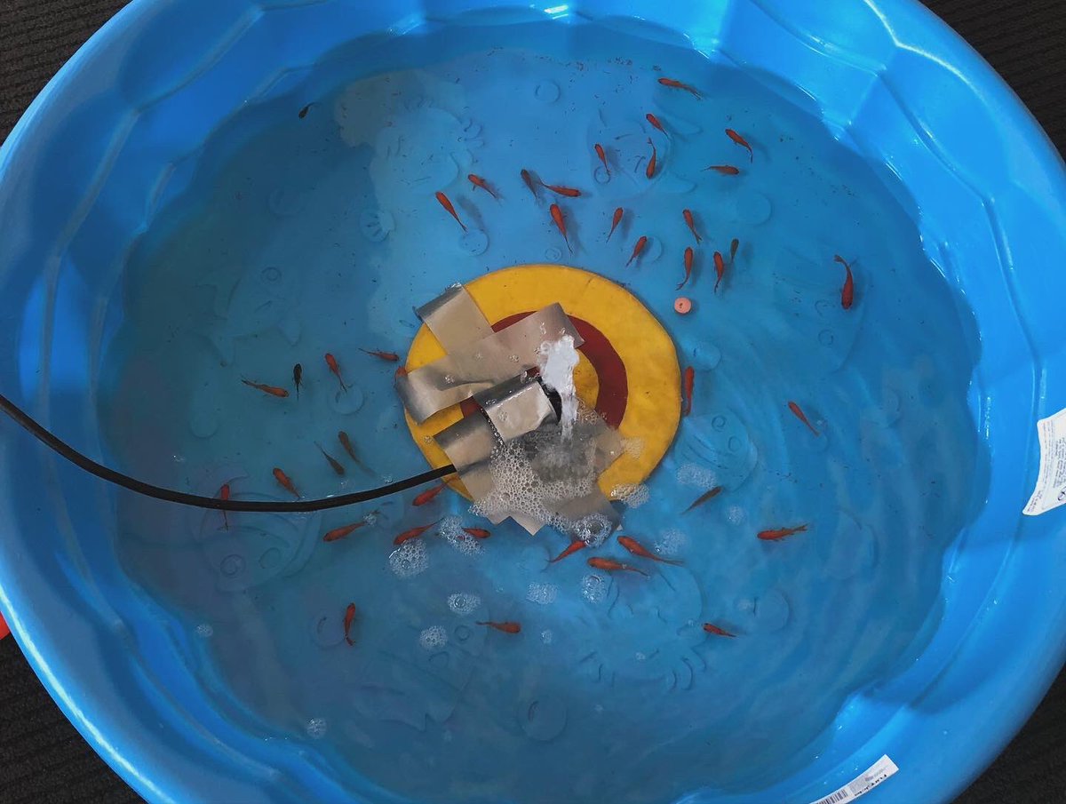 pattisonpath's tweet image. Putt Putt has arrived yet again in PE class! #pattisonpath #wearemilford