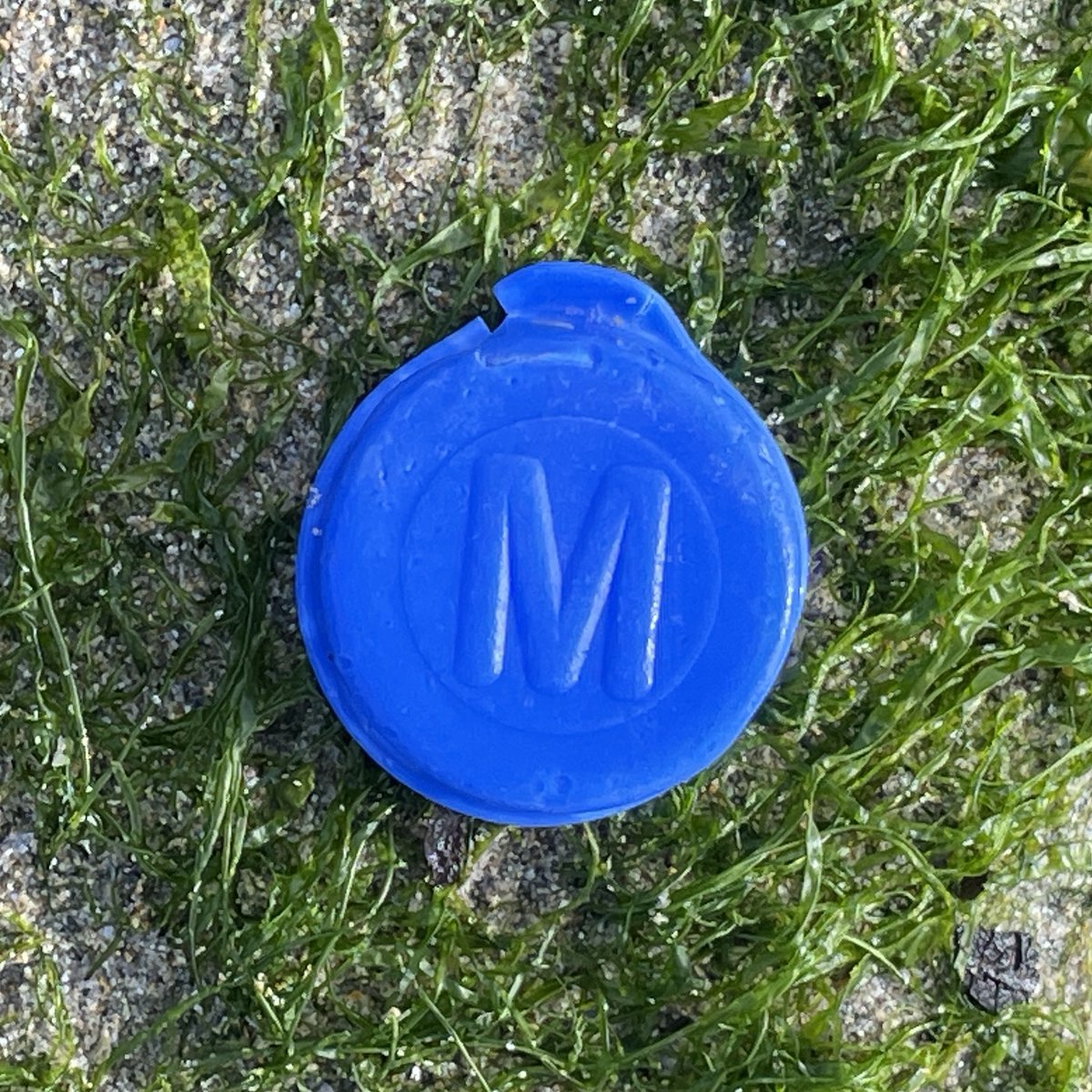 This Smartie lid, found on our beach clean this morning, is between 53 and 64 years old. Plastic Smartie lids with a capital letter or number were introduced in or around 1960. In 1971, the capital letters and numbers were replaced with lower case letters. #plasticarchaeology