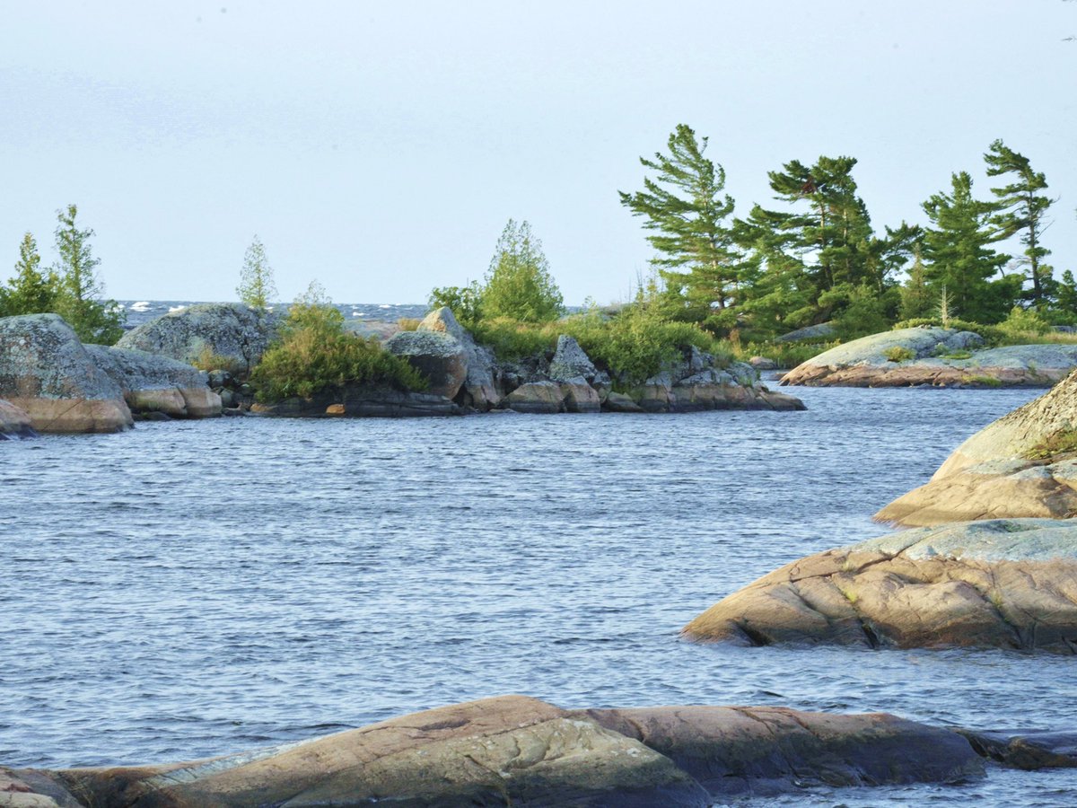 TRIPPING_Series's tweet photo. The prevailing wind on the French River comes from the west, causing trees to point east. For a lost traveller, trees provide a natural compass. 

TVO Original TRIPPING The French River. April 21st at 8pm. https://t.co/Uj2hdoYplp