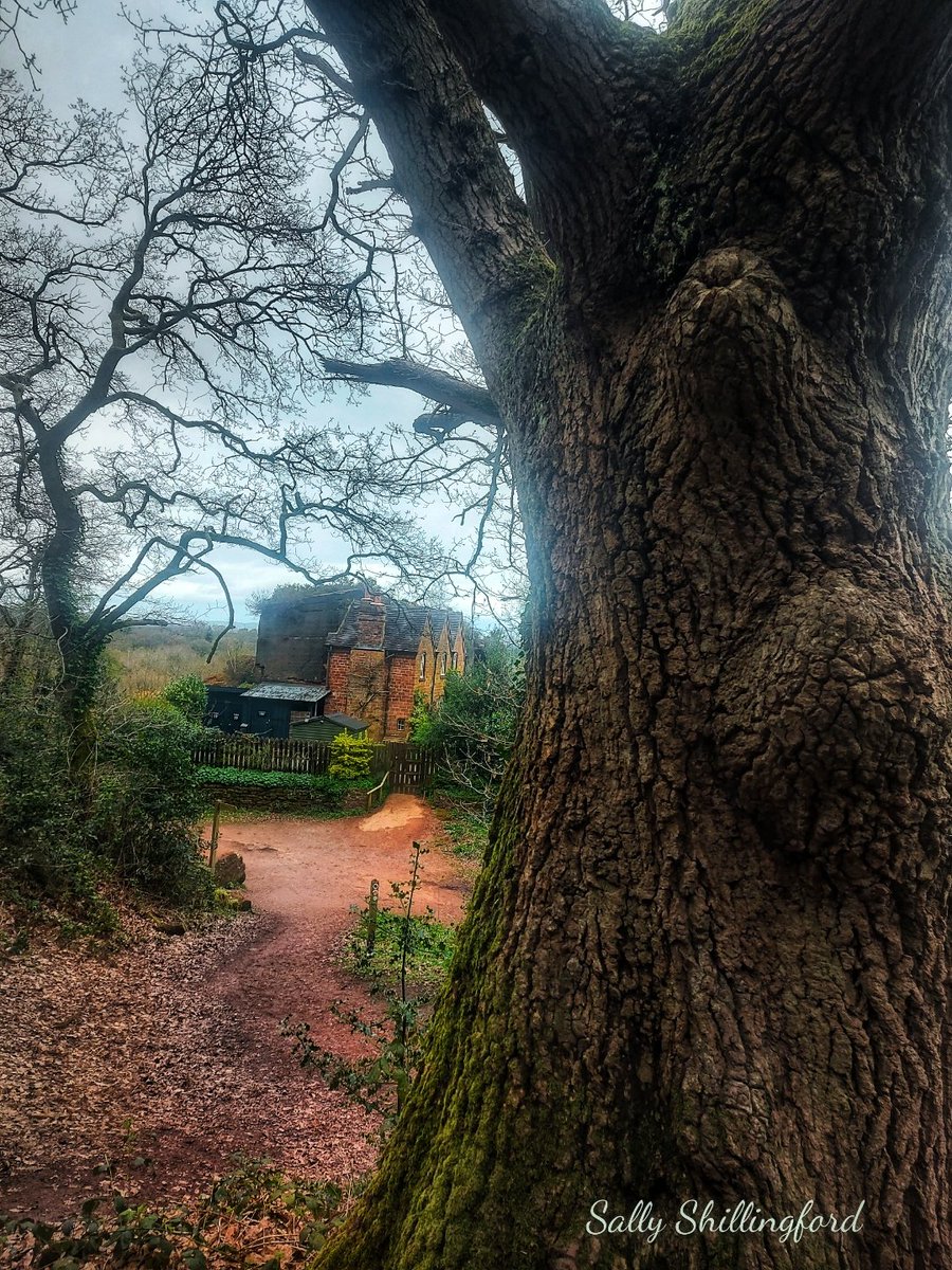 Kinver edge rock house 📷🤎 #kinver @NTmidlands @NTKinver