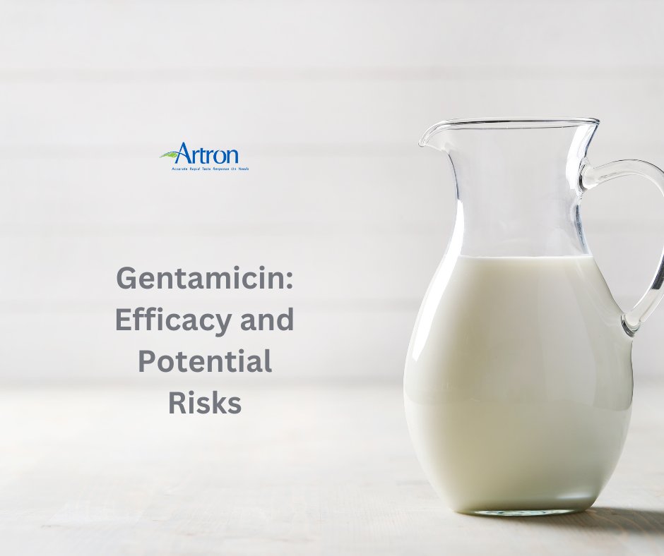 Gentamicin is an #antibiotic used to treat several types of #bacterialinfections. It is not effective for #gonorrhea or chlamydia infections. #Gentamicin may cause inner ear problems, nerve problems, and serious kidney problems. #artron #rapidtest #bioartron #Gentamicintest