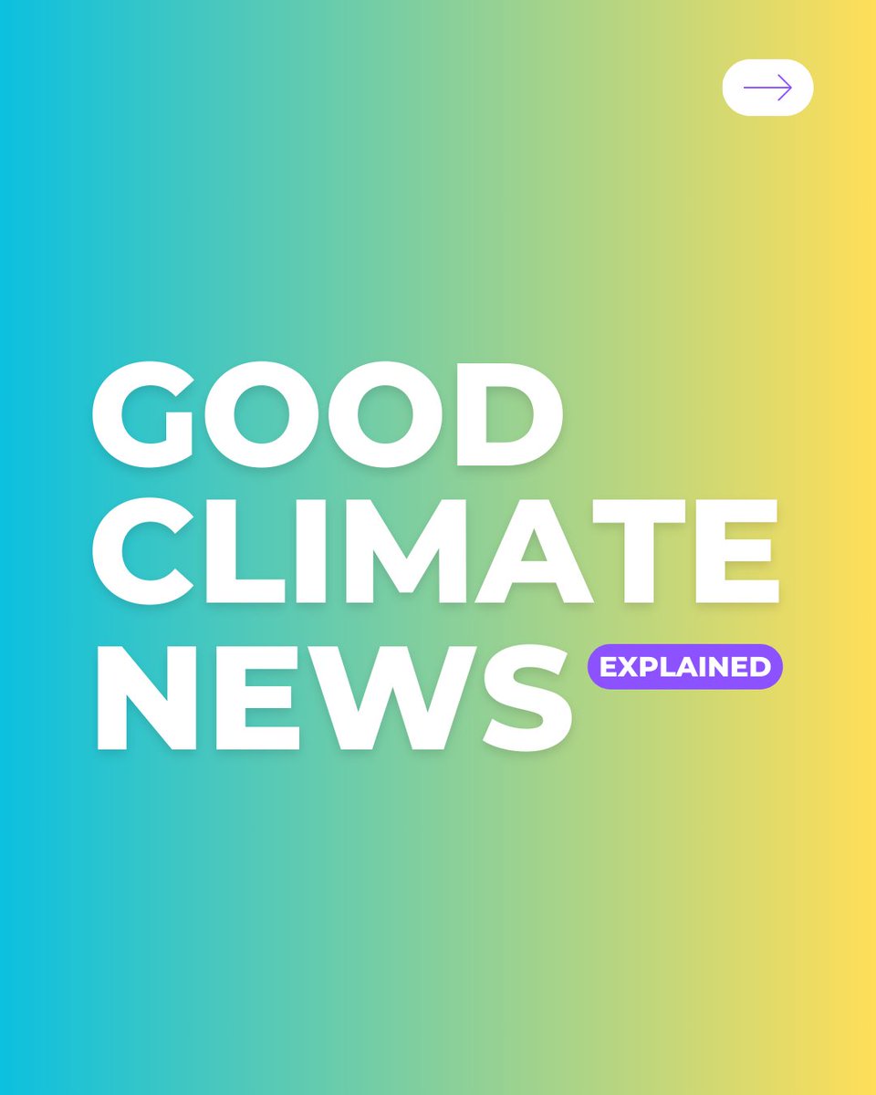 This week's schedule is a bit different, but don't worry, we won't leave you without some good climate news. 🌈 
Swipe along and let us know which one is your favourite! 🙌
#goodclimatenews #positivenews #sustainablefashion #secondhand #medellin #colombia #greencorricors