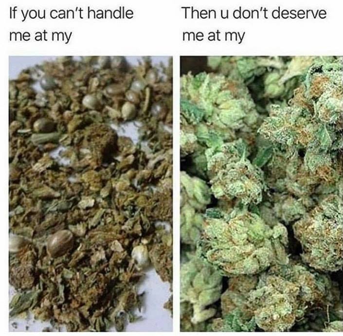 yes or no, would you hit the dirt weed if it was the only choice?