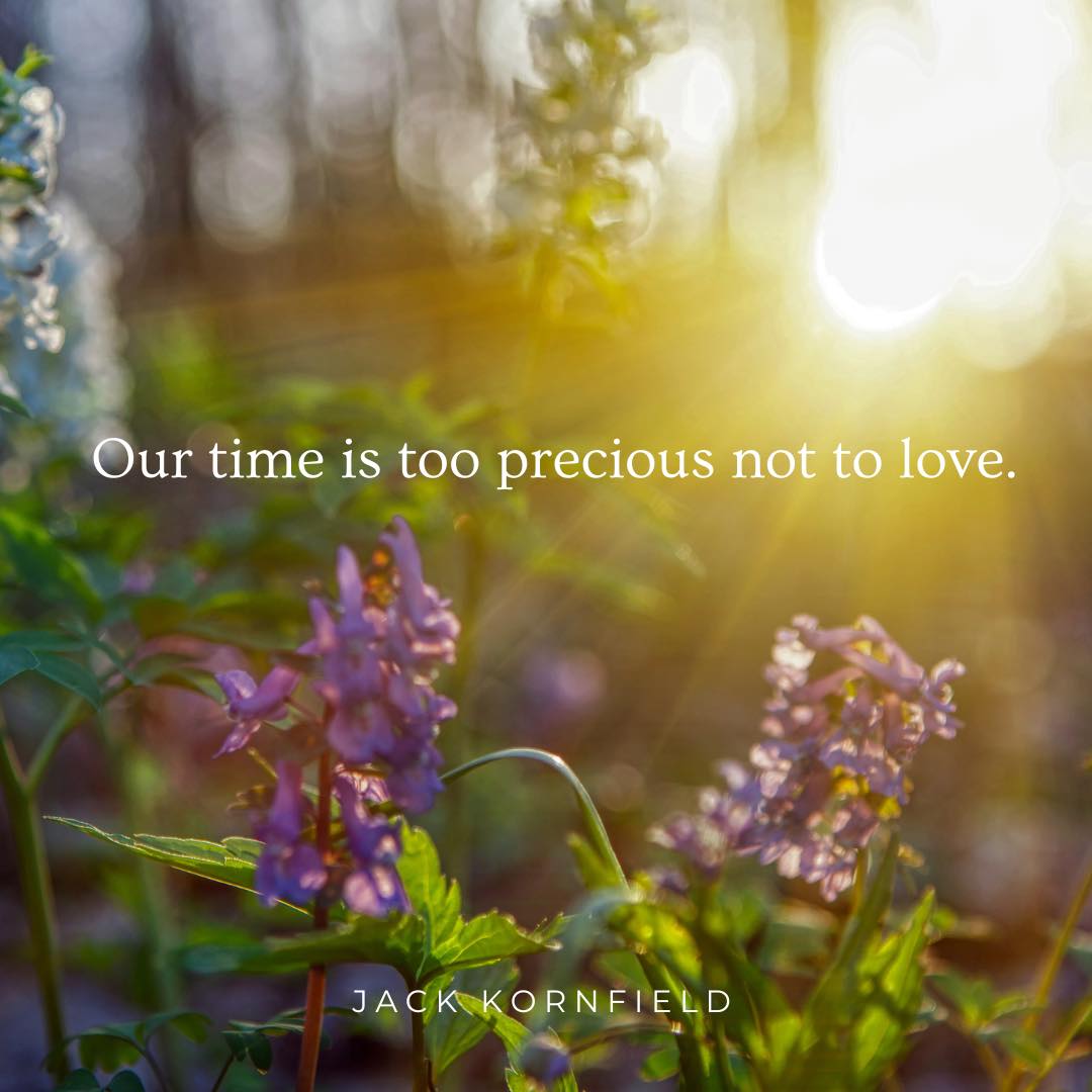 Our time is too precious not to love. #love #grateful #gratitude #precious #mindfulness #awareness #consciousness #jackkornfield #spirituality #buddhisn #beherenow #presentmoment #spring